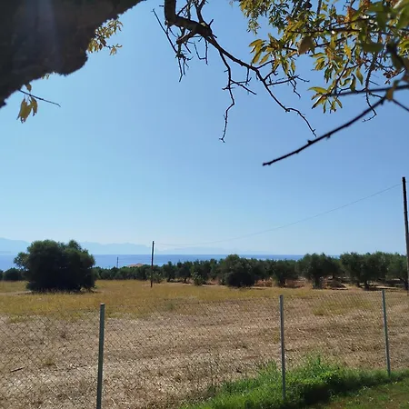 Nereids Apartments-agavi Petalidi