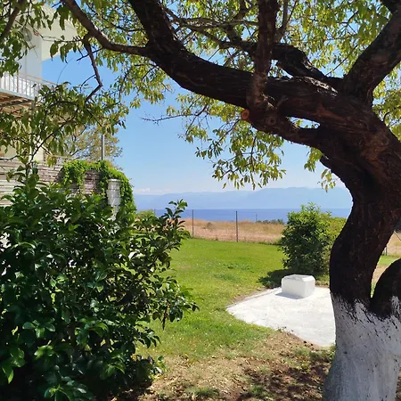 Nereids Apartments-agavi * Petalidi